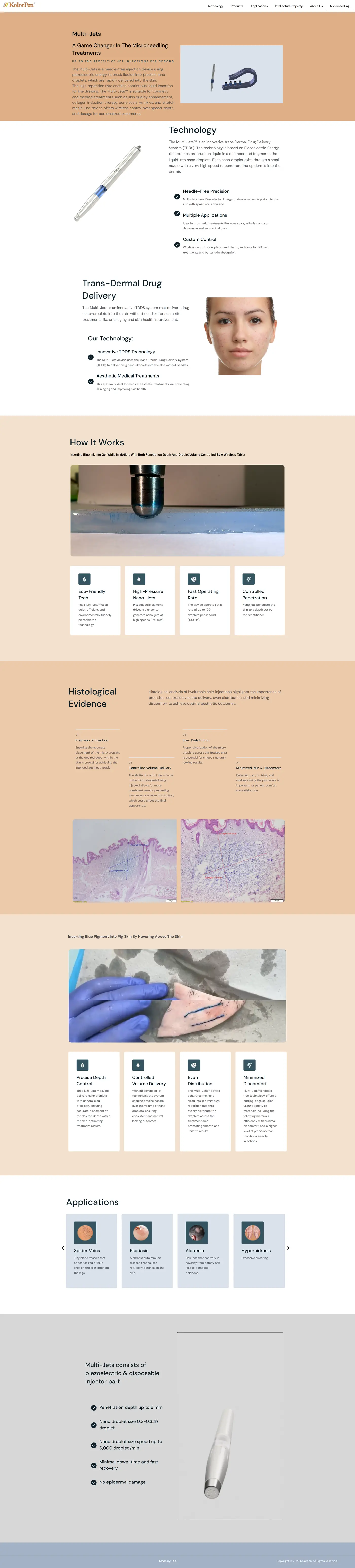 Full page screenshot of the Multi-Jets website.