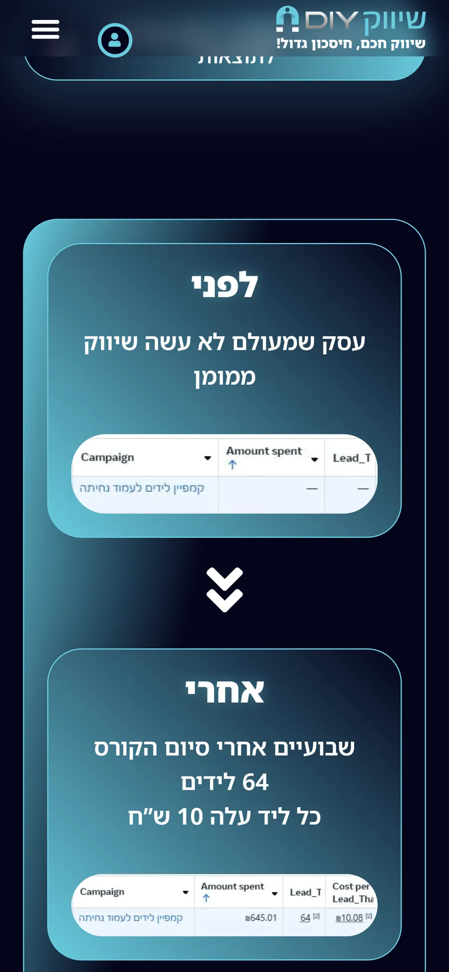 DIY Marketing website on mobile, screen 2
