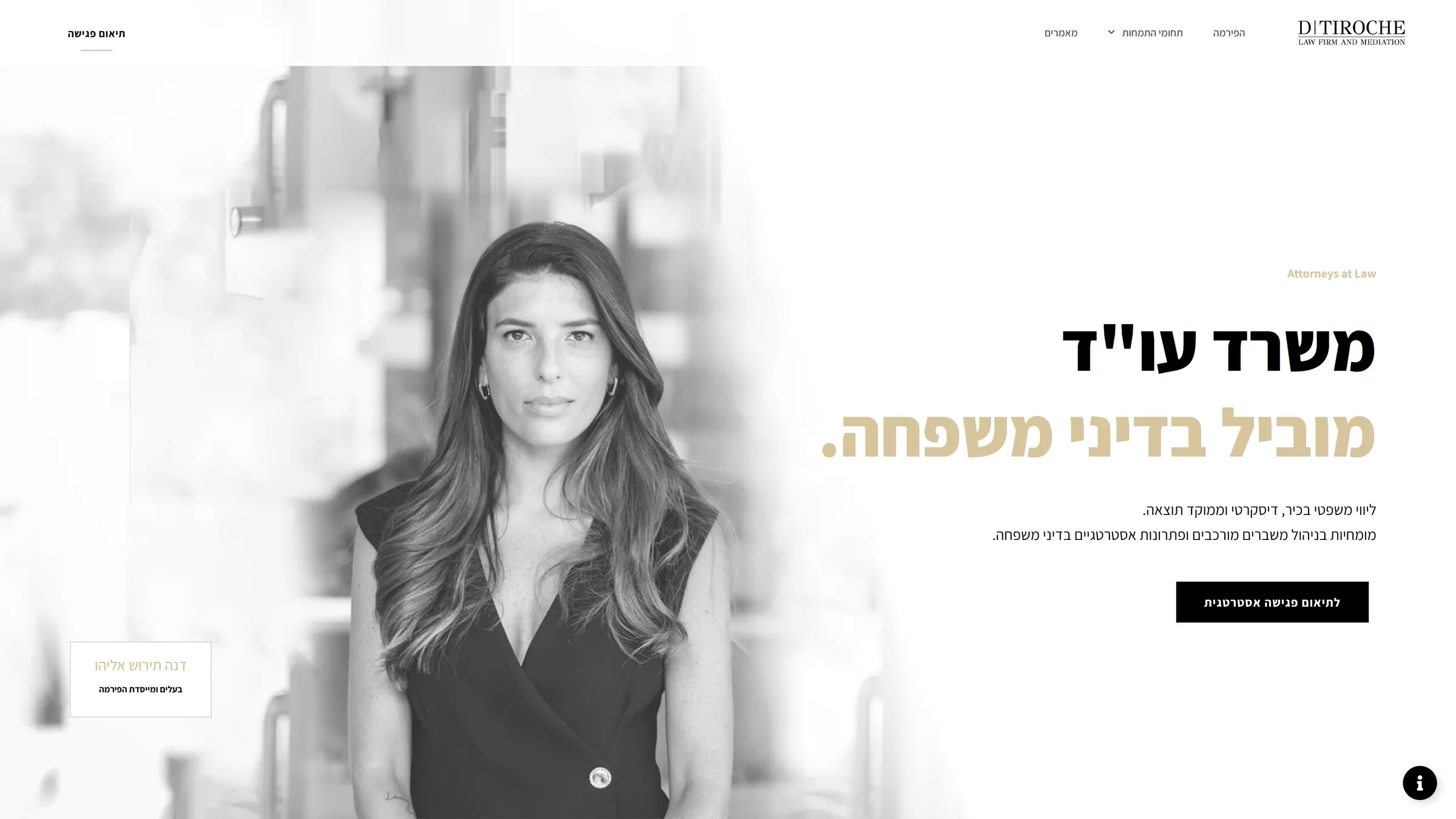 The hero section of the Dtiroche Law Office website