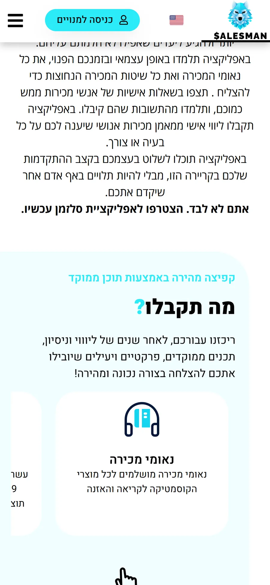 SalesmanApp mobile website, screen 2
